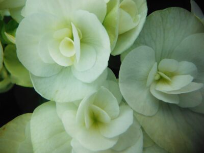 article image -